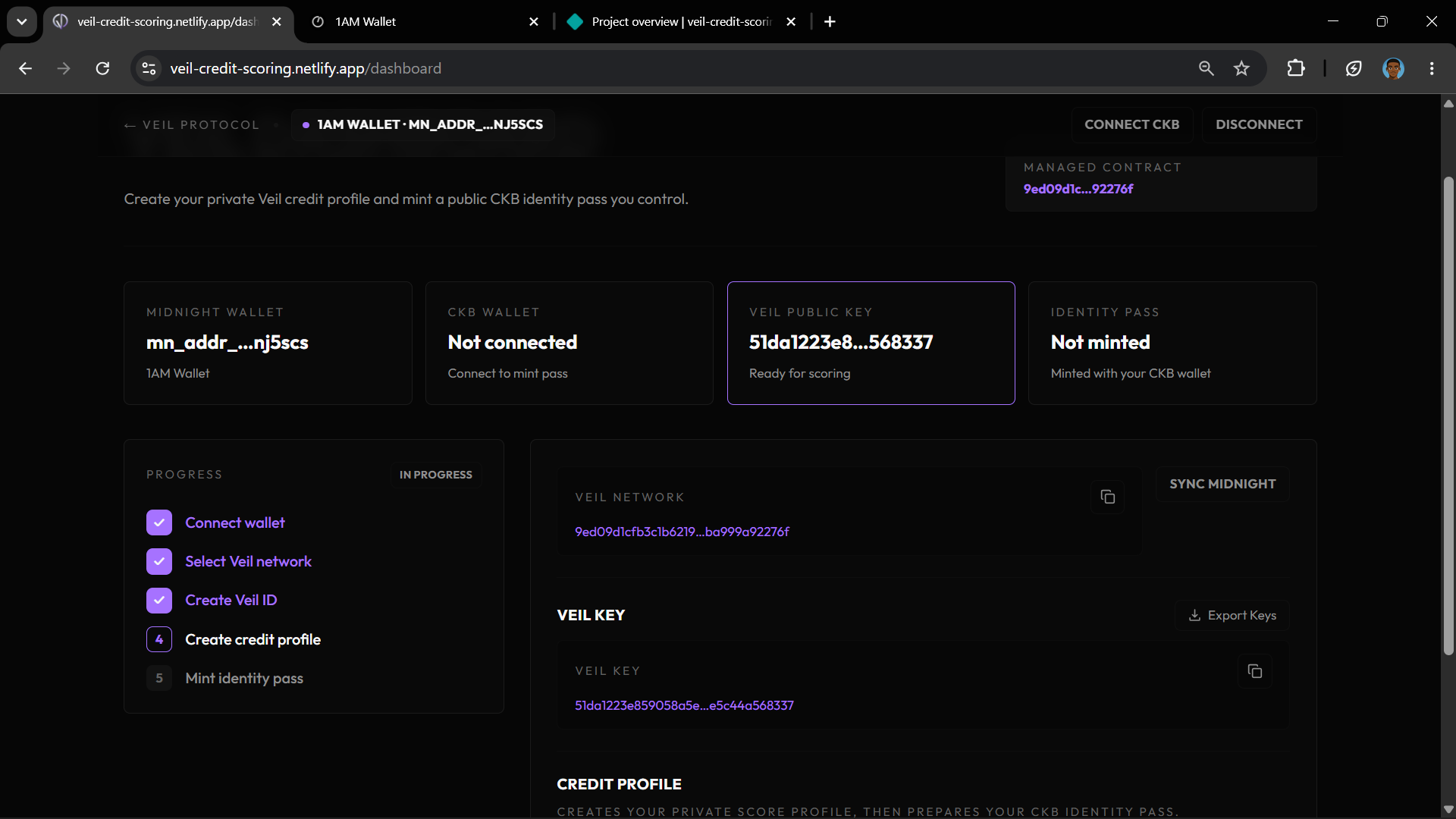 Dashboard after Veil ID is created showing Veil Key in stats bar
